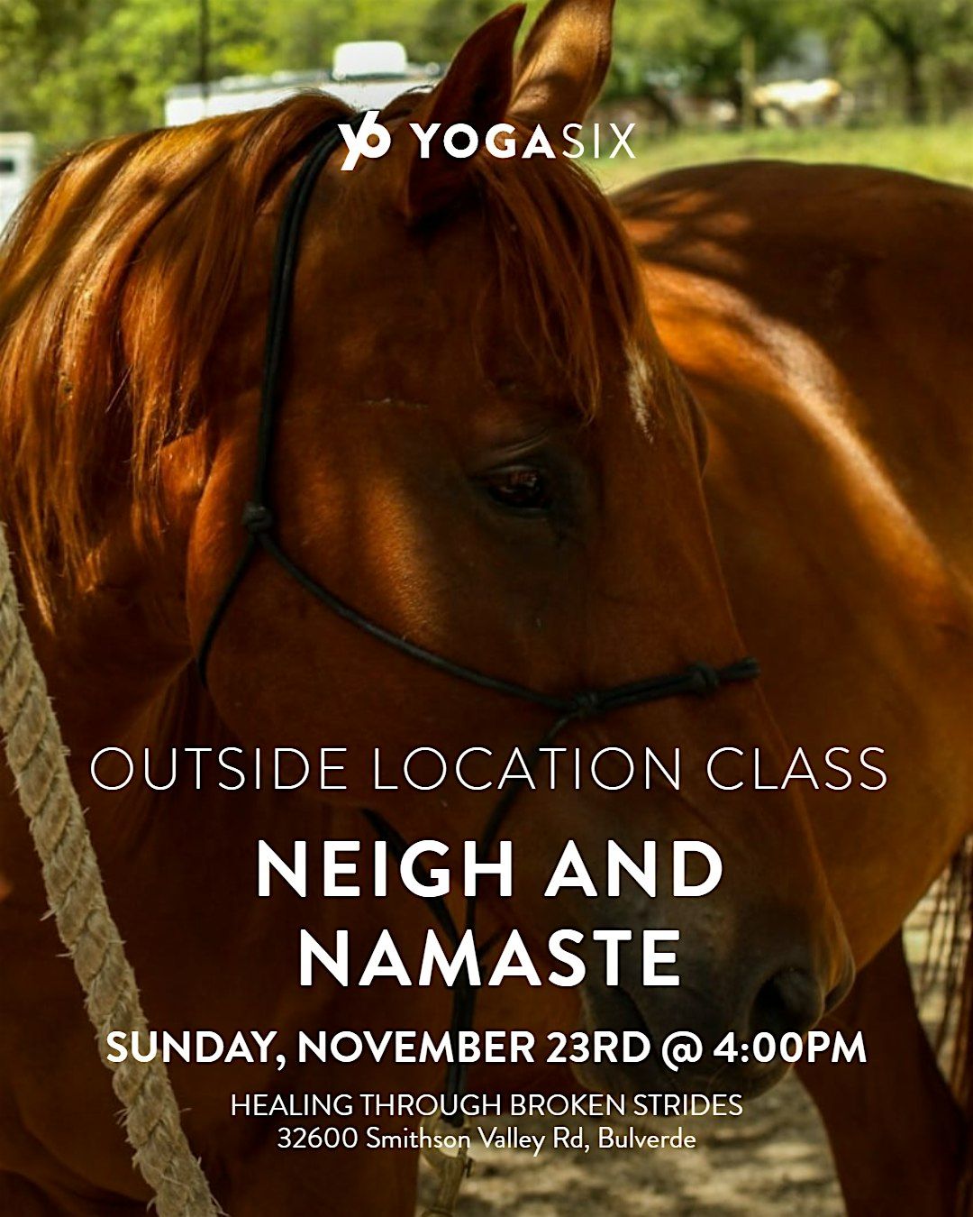 Neigh and Namaste