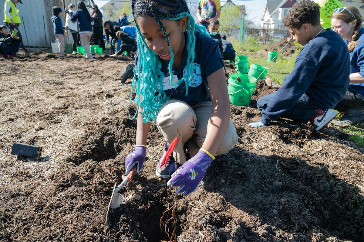 Workshop: Learn How a Mini-Forest Can Bring Nature to Your Community