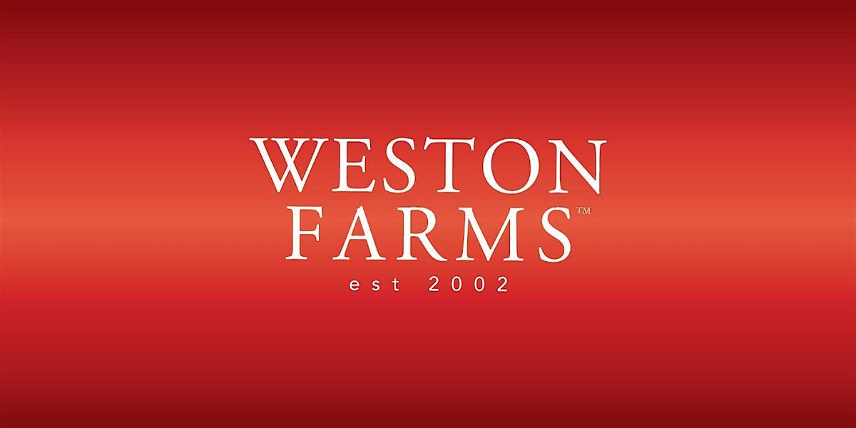 Create a Holiday Centerpiece with Weston Farms