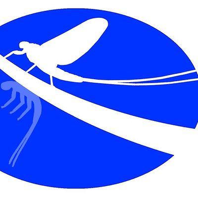 Freshwaters Illustrated