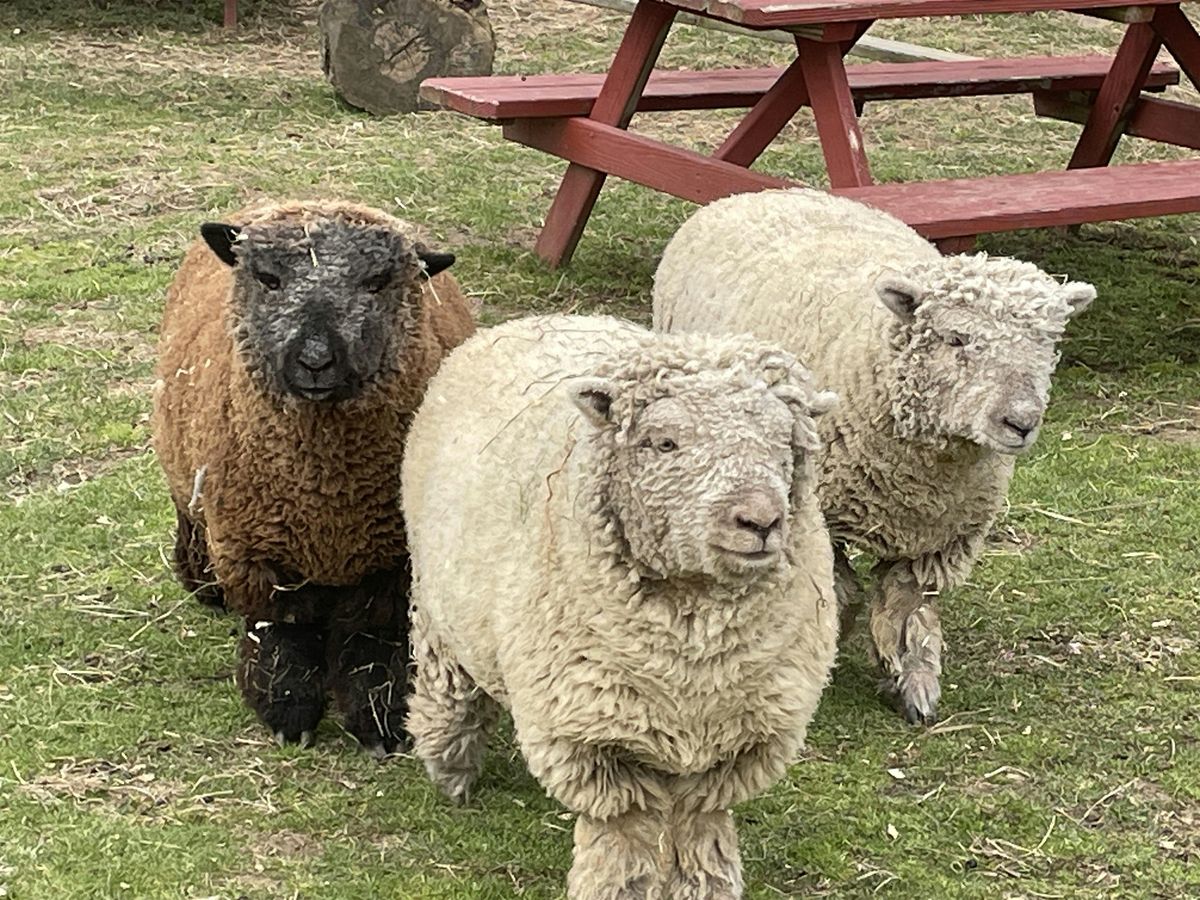 Inclusive Neurodiverse Farmer ProgramFall 1 Session