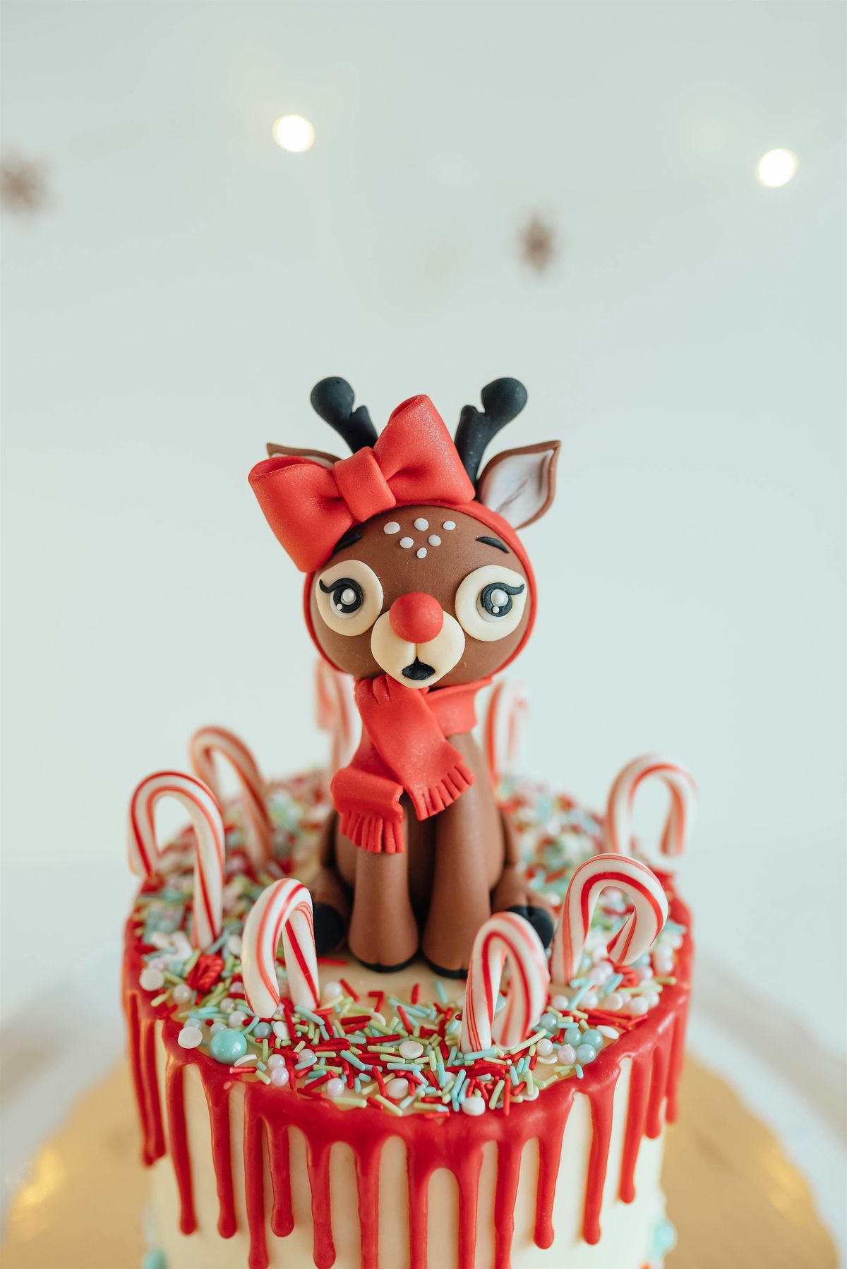 Reindeer Fondant Topper Class