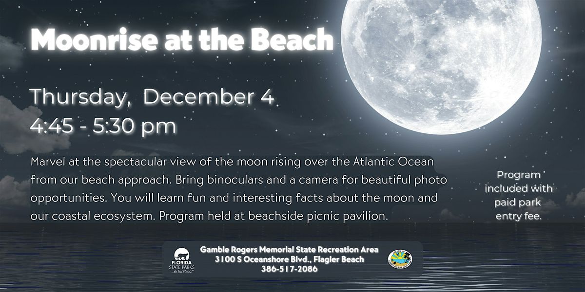 Moonrise at the Beach