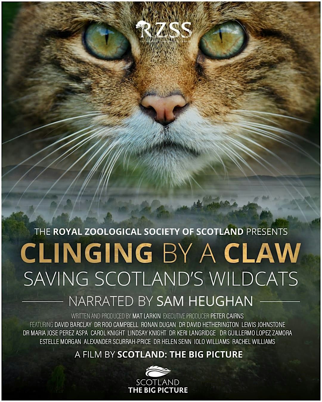 Transition Bournemouth presents: Clinging by a Claw \u2013 Film Screening