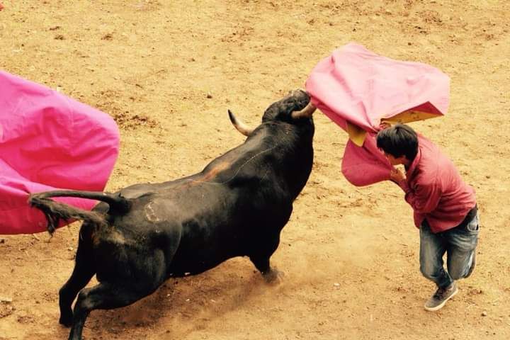 Toros de Sangolqui 2023