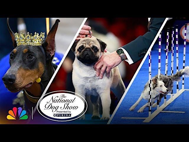 National Dog Show Bus Trip