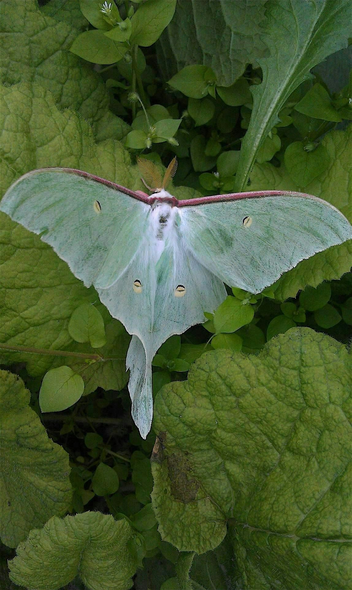 Nighttime Critter Walk