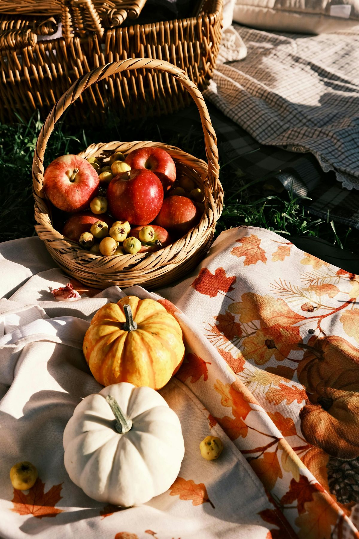 Autumn Bistro Classics : Pumpkin Chicken and Apple Tatin BYOB