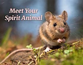 Meet Your Spirit Animal, a Shamanic Journey