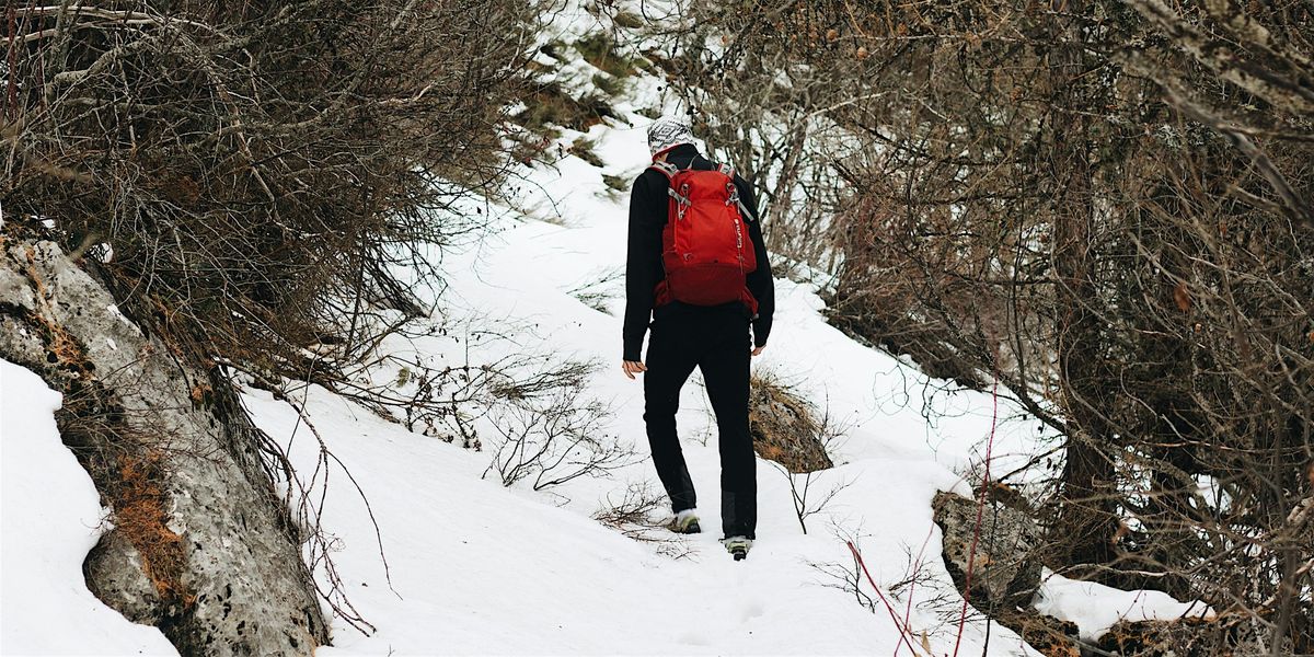 Winter Trails Walk (Adults & Ages 8+)