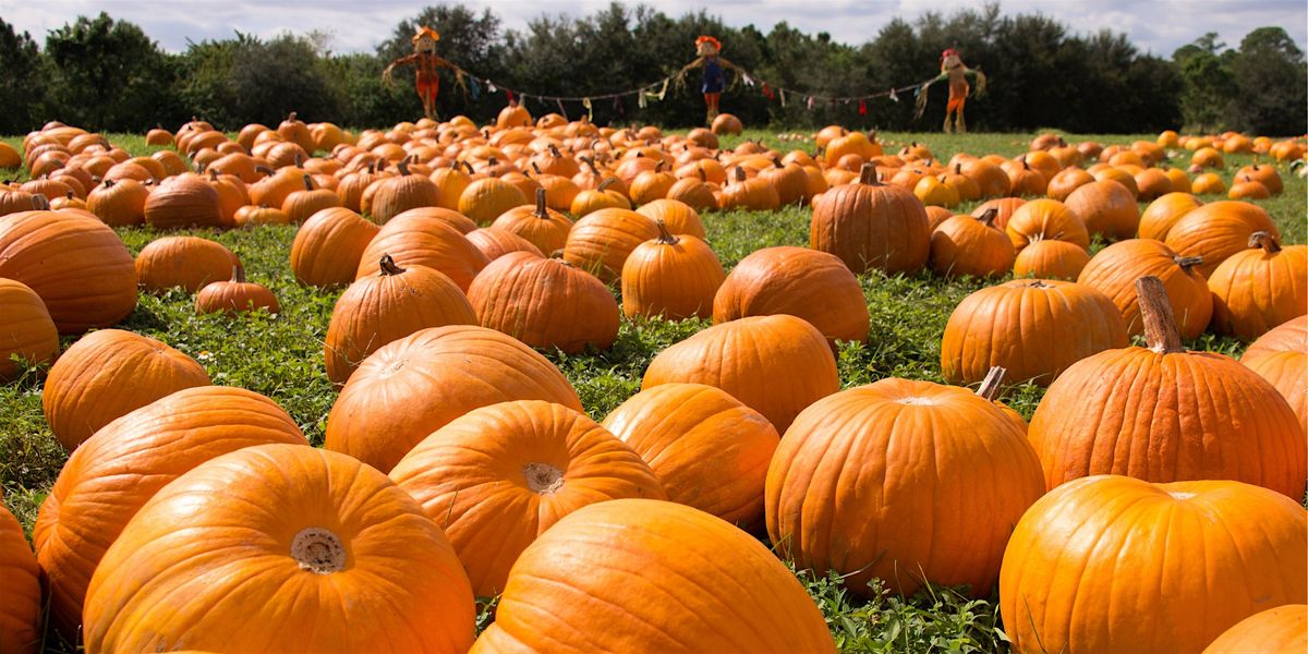 Farm Commune Community Pumpkin Giveaway/Opening Day At Evans Acres Family Farm at ...