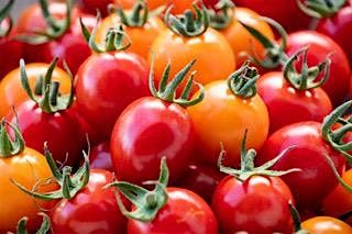 Cooking With the Seasons Sept 22nd