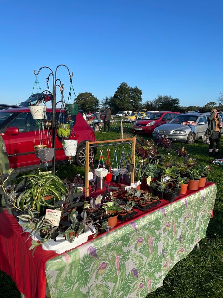 Car Boot Sale at Farmer Palmers Farm Park Farmer Palmer's Farm Park
