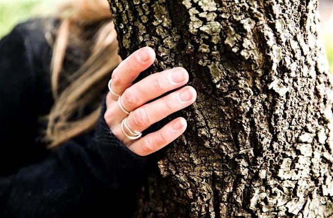 Weekend Wellness: Forest Bathing in Hothfield