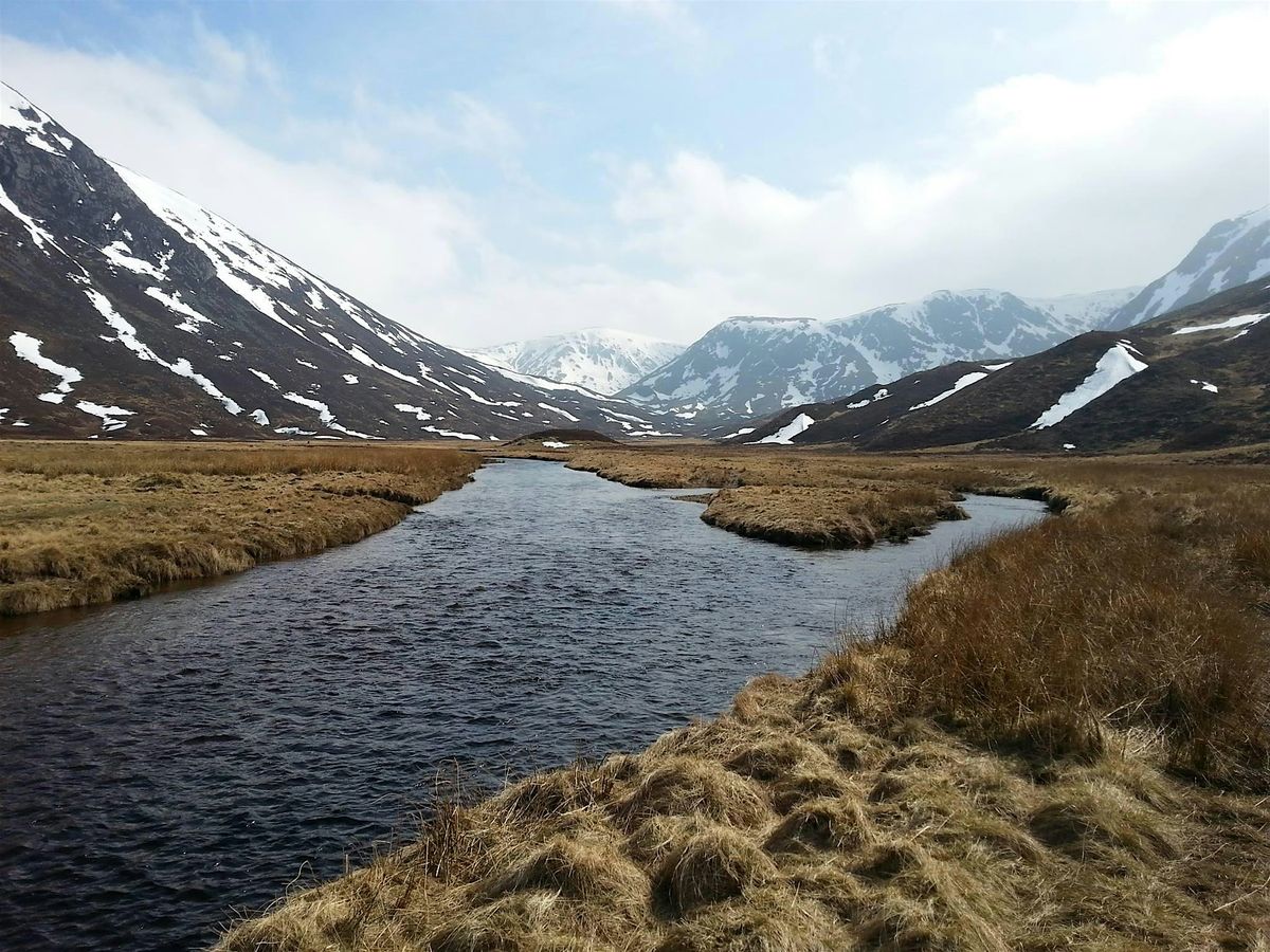 8 Week Mindfulness Course Spring 2026 - Sunday Evenings (Cheltenham)