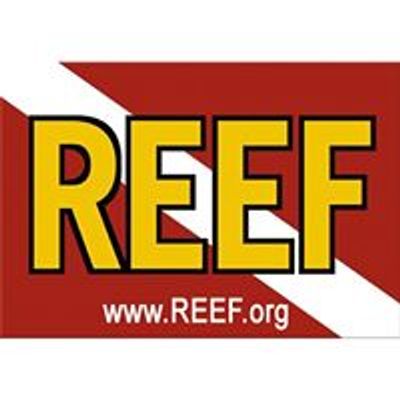 REEF Reef Environmental Education Foundation