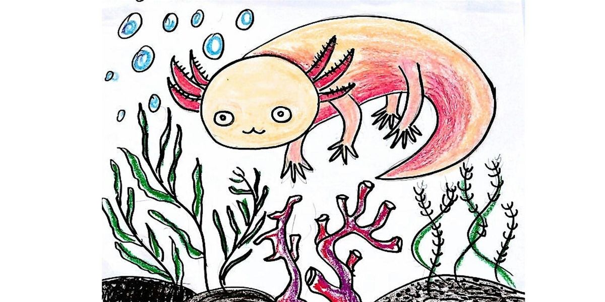 Pencil Drawing Class: Draw a Cute Axolotl