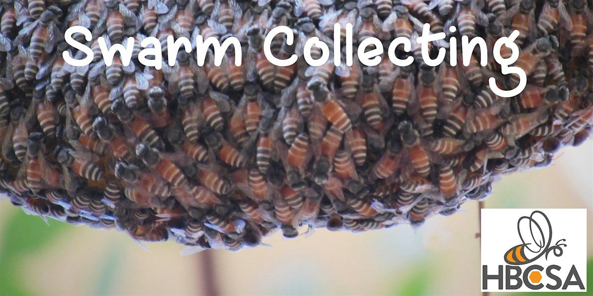 Swarm Collecting Course at Peartree Halls, Welwyn Garden City on 30th ...