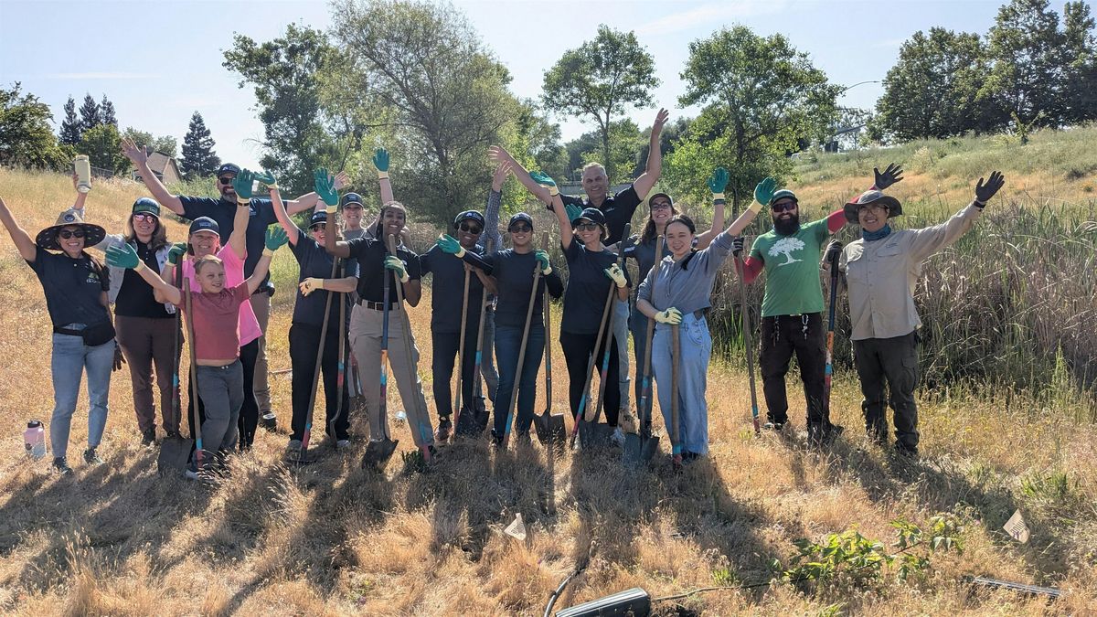 TLC at Sundance Park