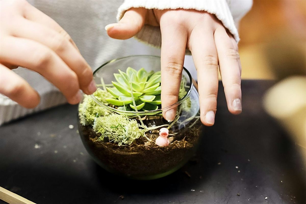 All Ages Dinosaur Terrariums
