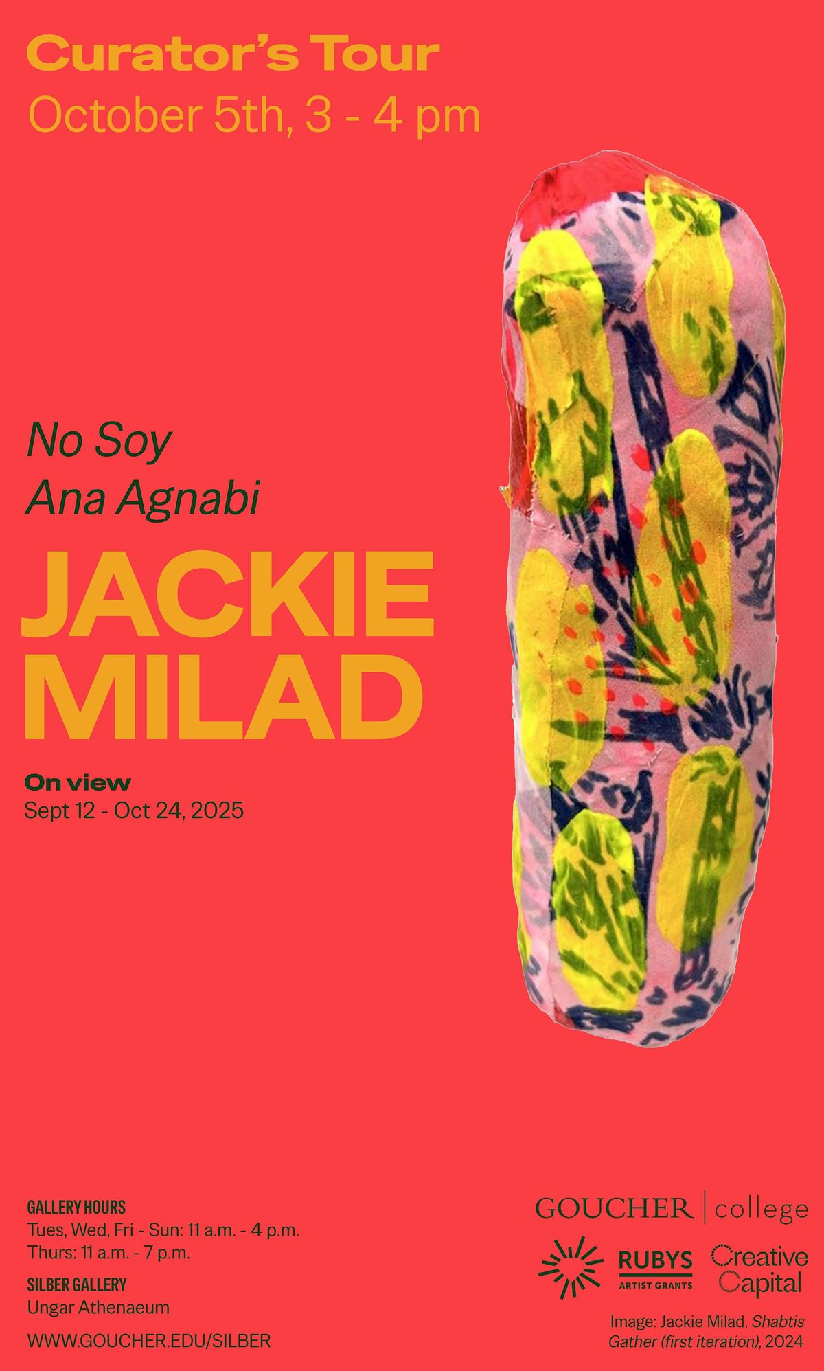 No Soy Ana Agnabi - Curator's Tour