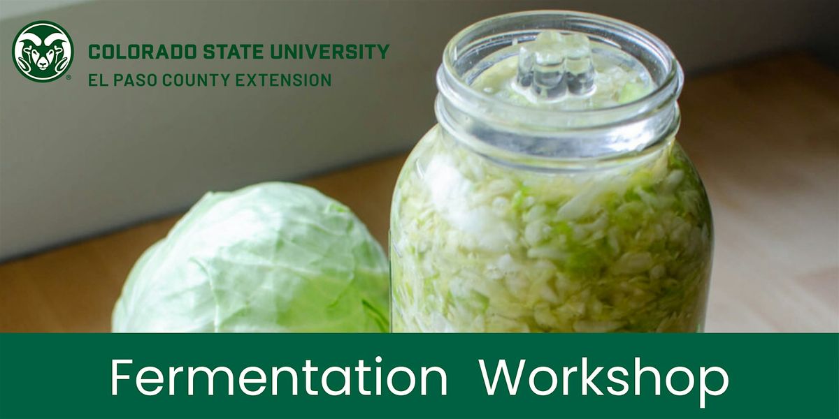 Fermentation Technique Class: Featuring Sauerkraut