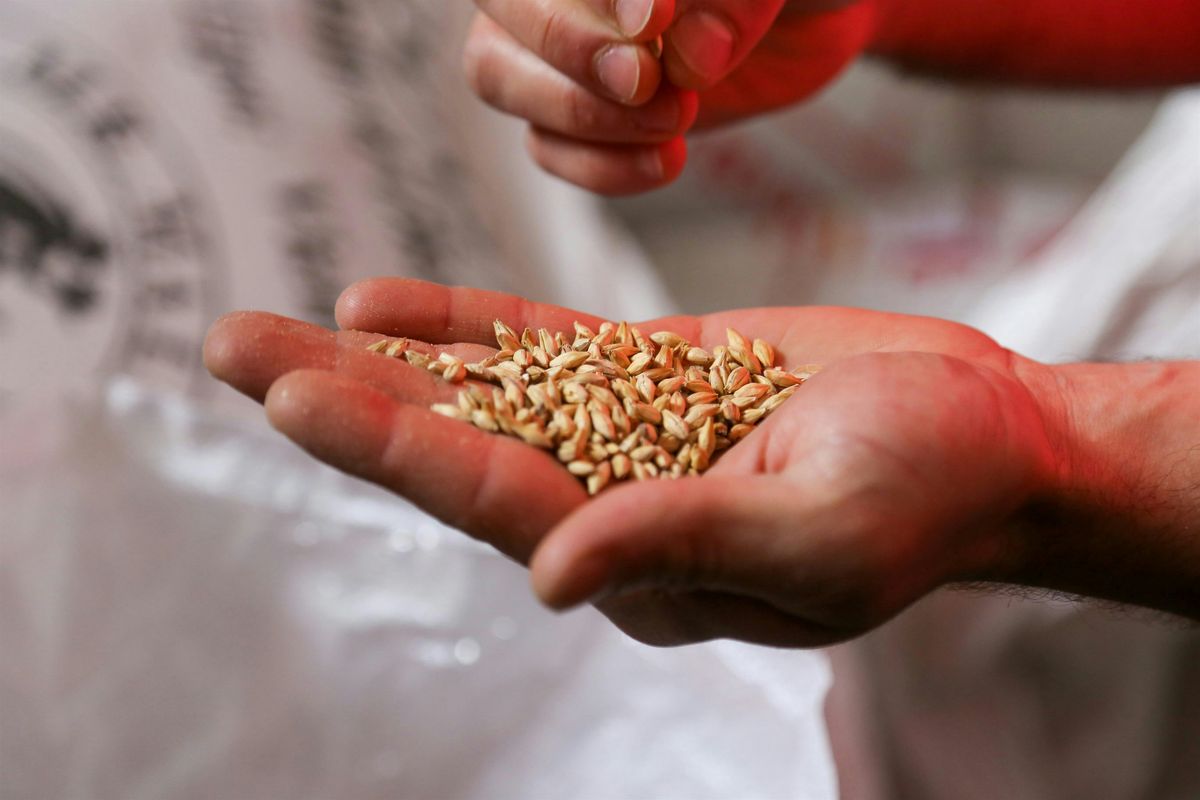 *FREE* Seed Collection Workshop at Gottfried Prairie