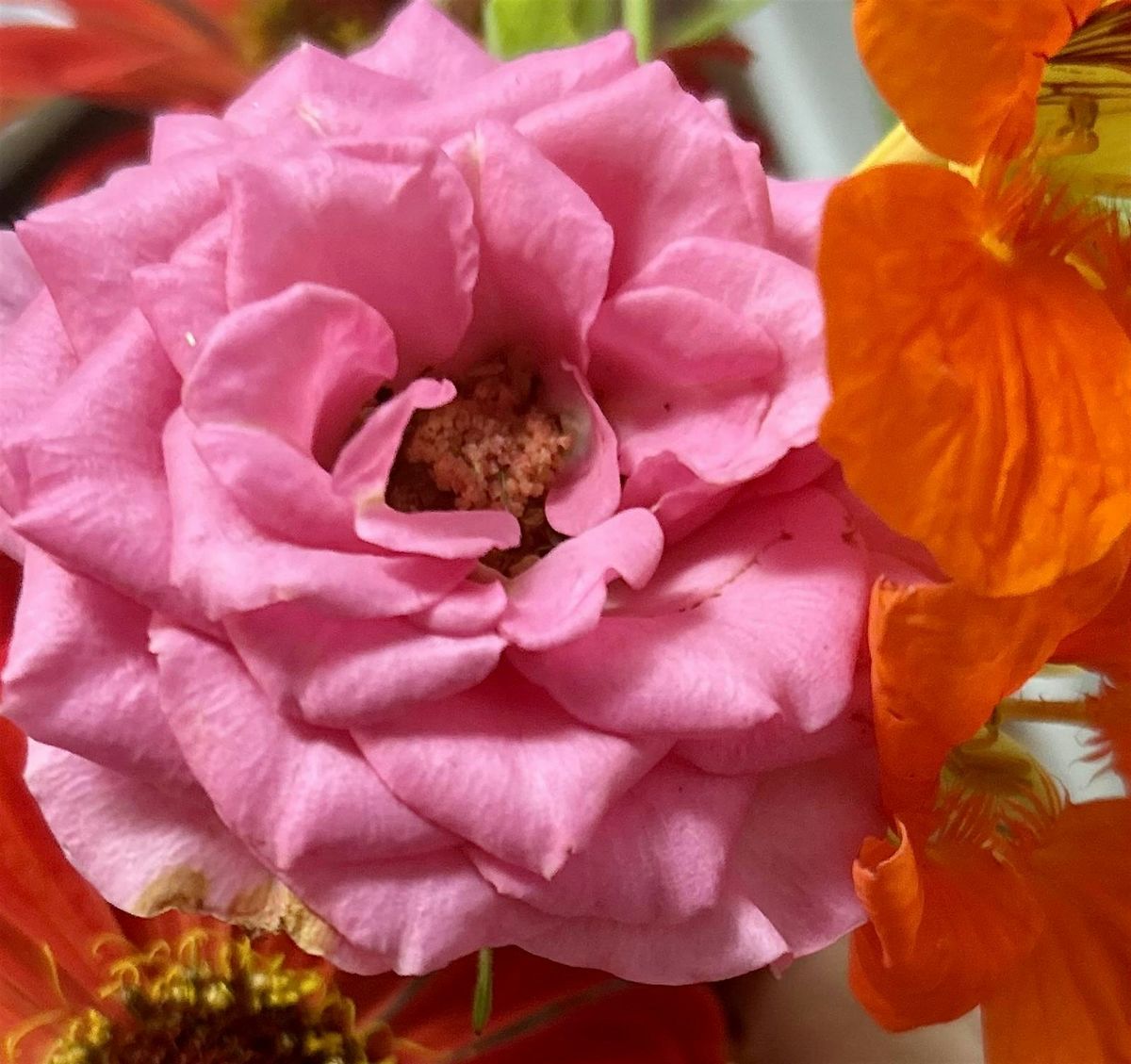 Opening the Heart for Renewal: A Joy, Movement & Herbal Workshop