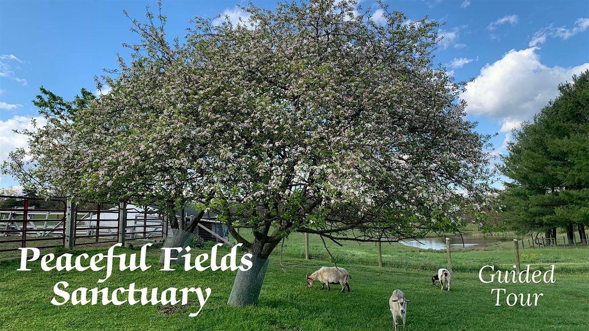 Oct Guided Tour of Peaceful Fields Sanctuary