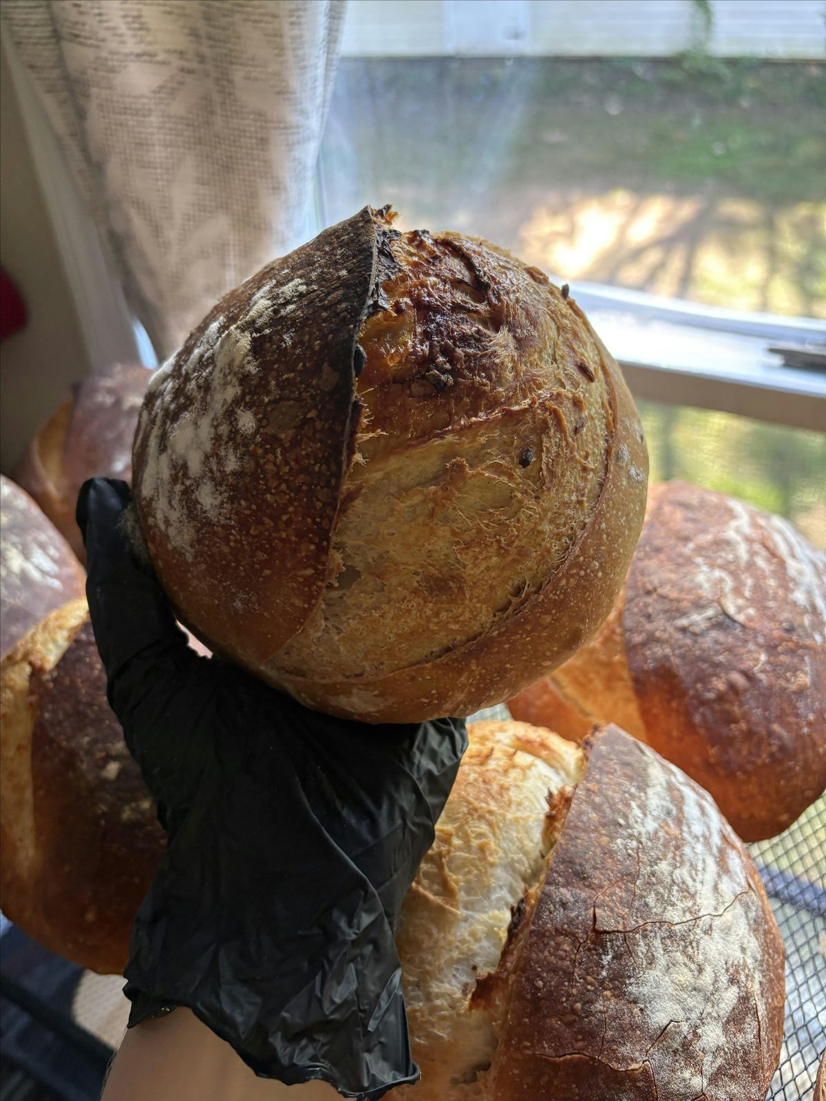 \u2728 Sip & Sourdough: Learn the Art of Bread Making at the Barn \u2728