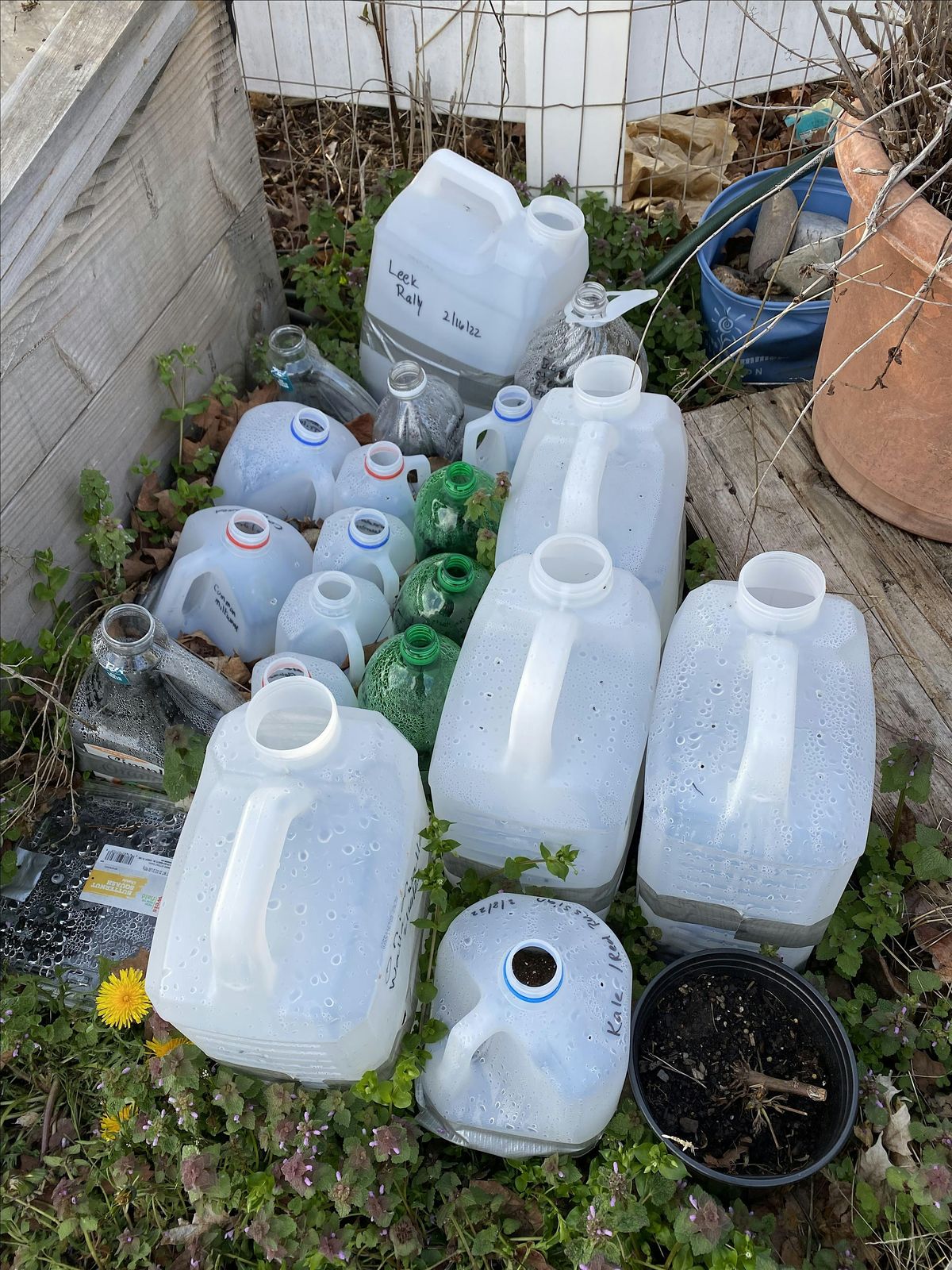 CCMG Specialty Class 1: Winter Sowing (hands-on)