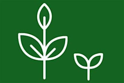 Re: Business Network #4