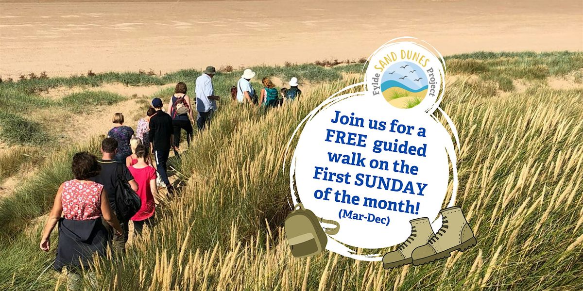 Guided Walk: Discover the Dunes
