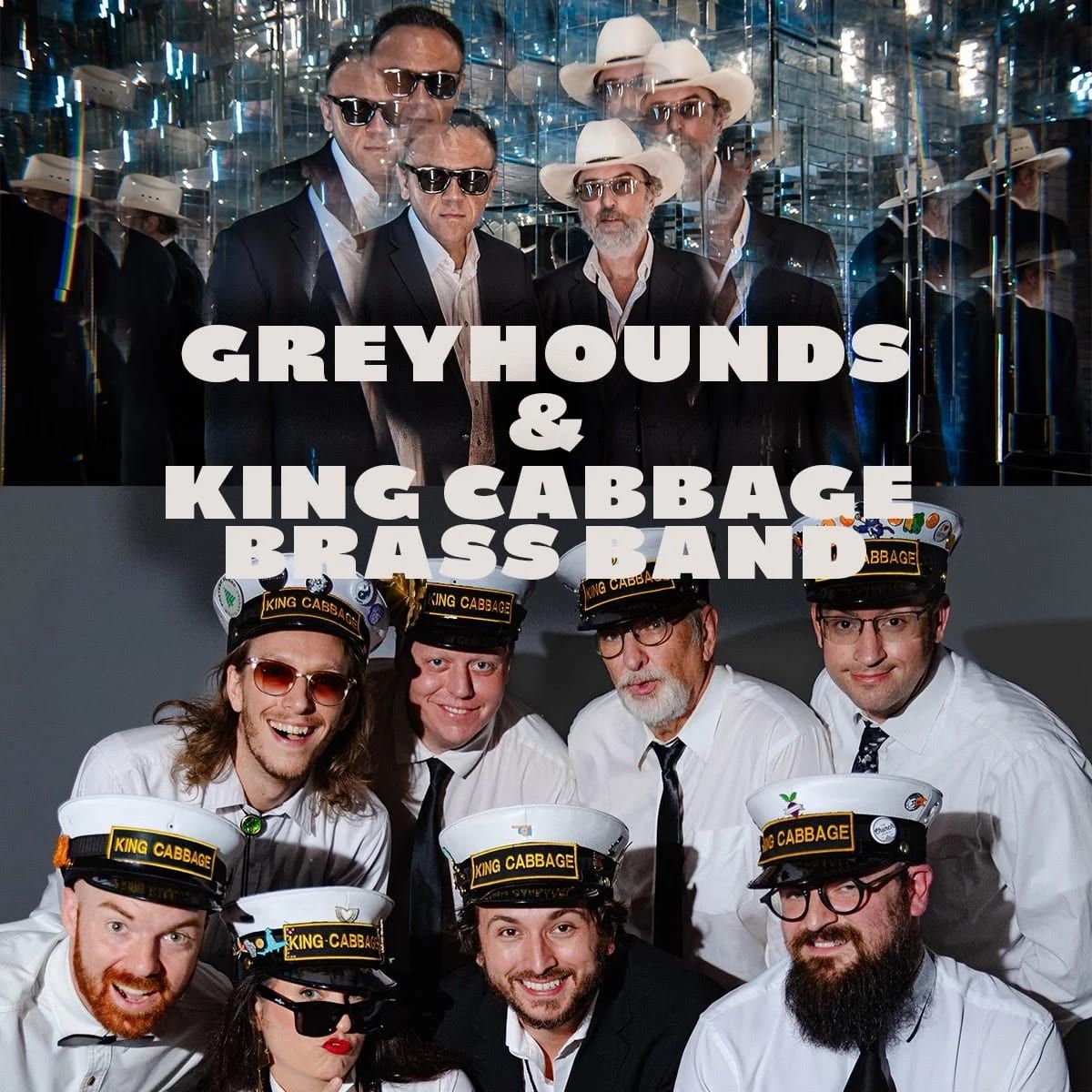 Greyhounds at Knuckleheads Saloon