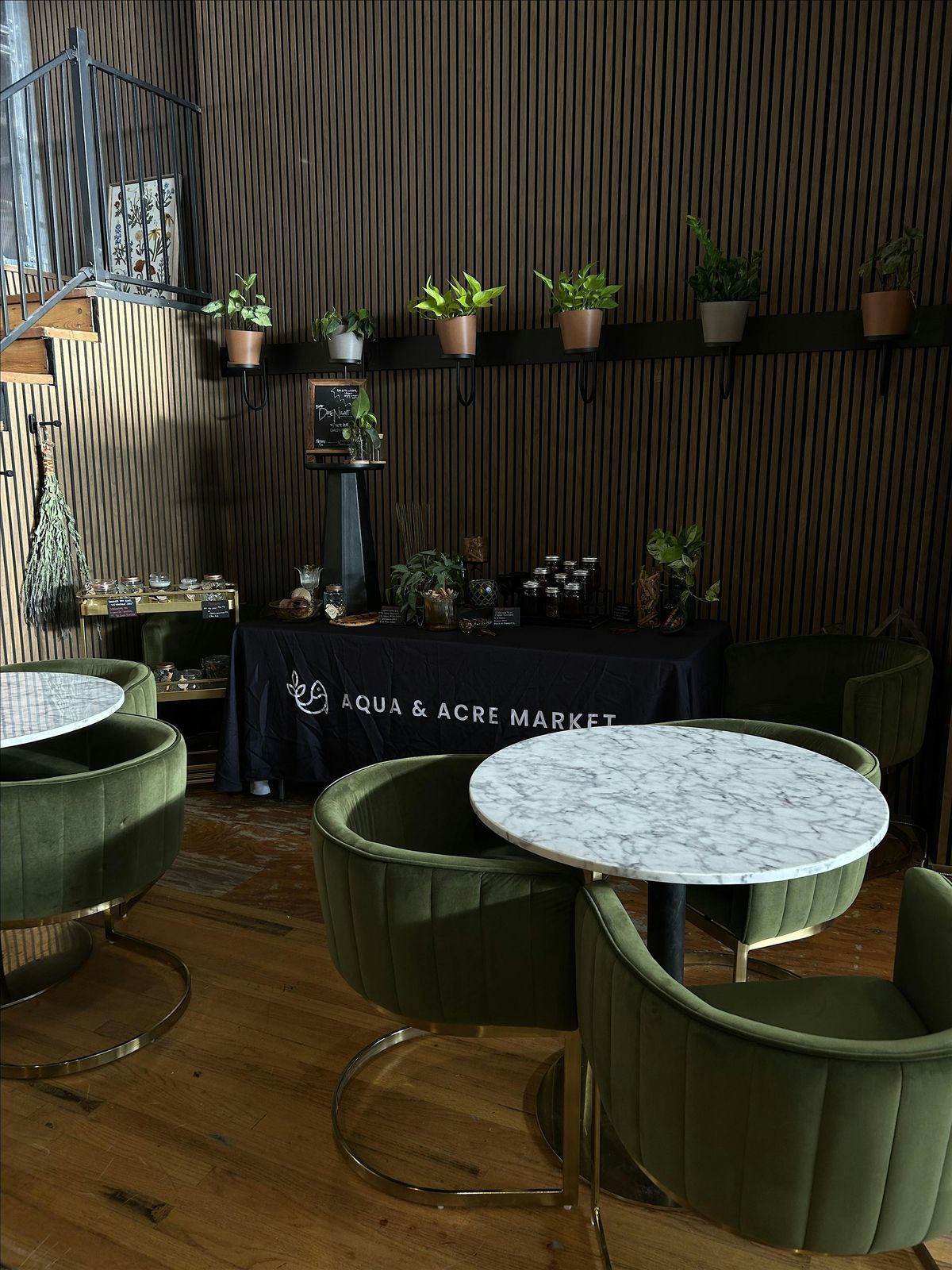 Aqua & Acre Market December Bookclub: Stargirl (Adult\/Kid Bookclub)