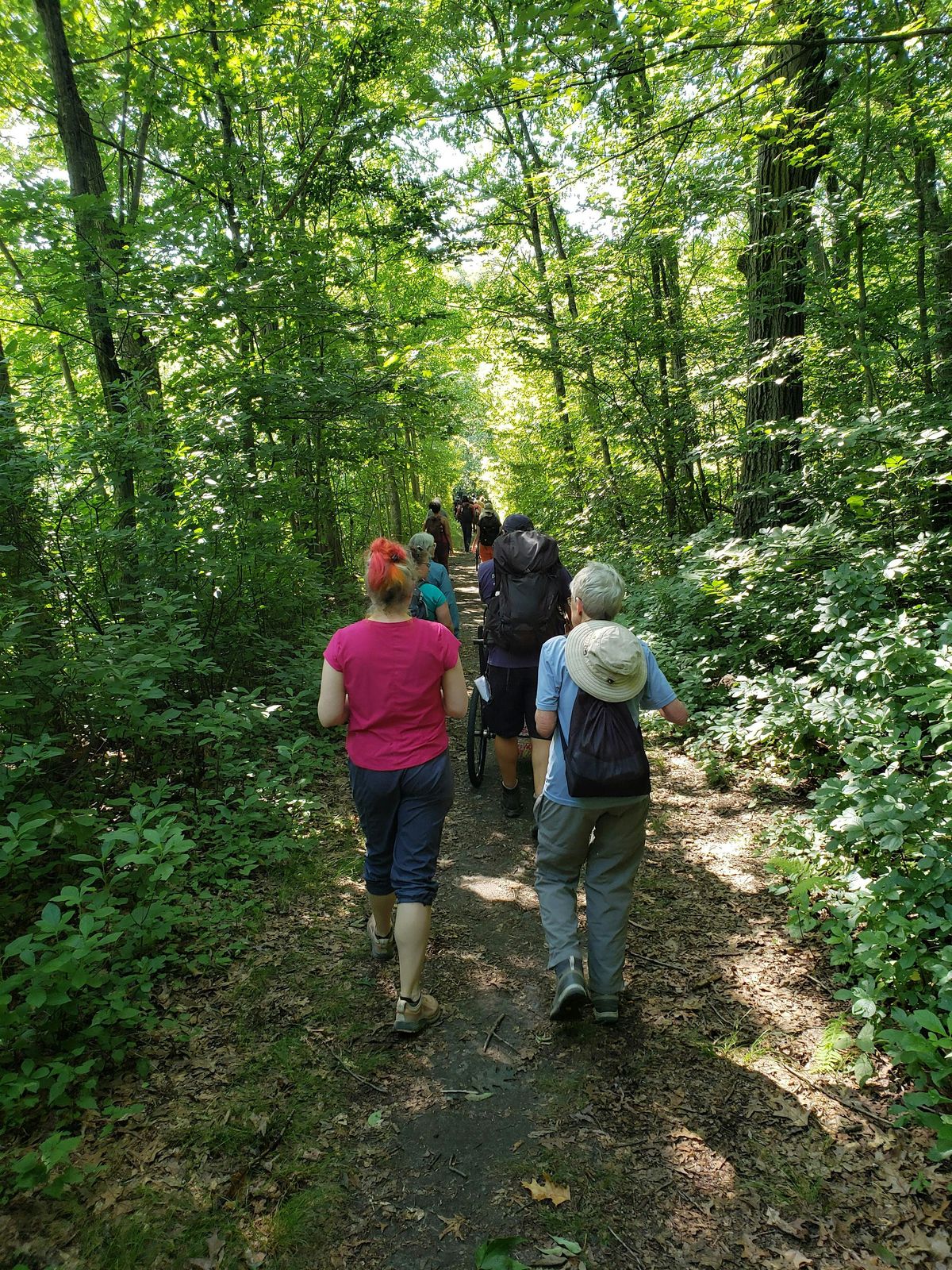 Hike the Fells from Malden!