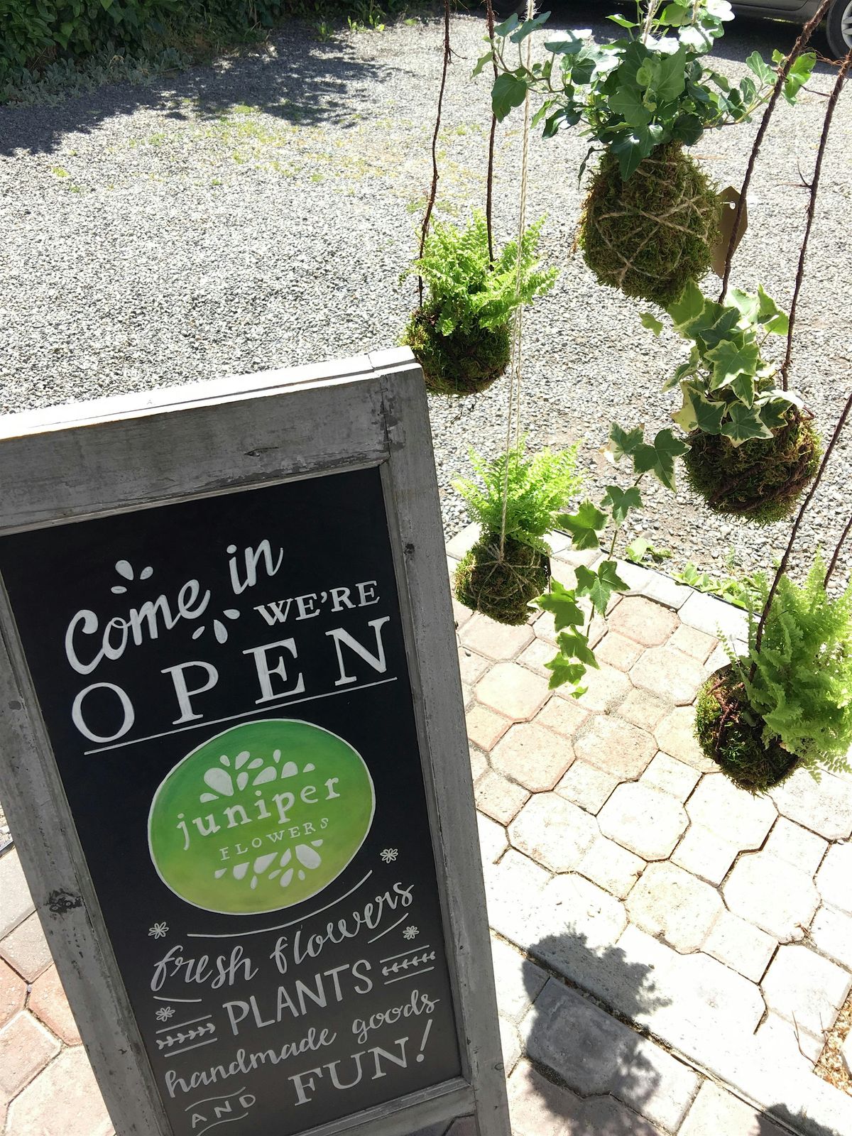 Kokedama Workshop