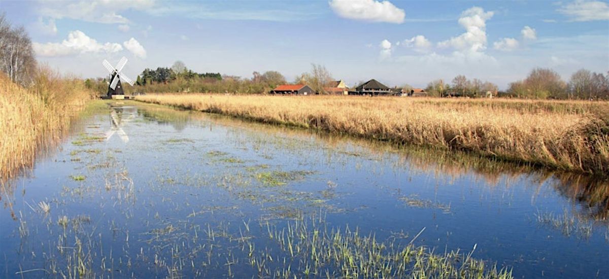Shared values and management pathways for Lowland peatlands