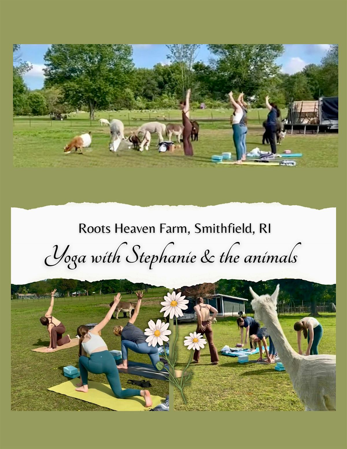 Wednesday evenings at Roots Heaven Farm with Stephanie & the animals