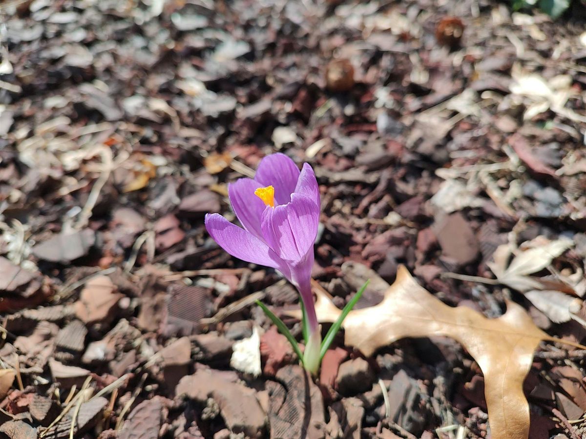 Mid-Michigan Spartans Present: Making Sense of the Brain