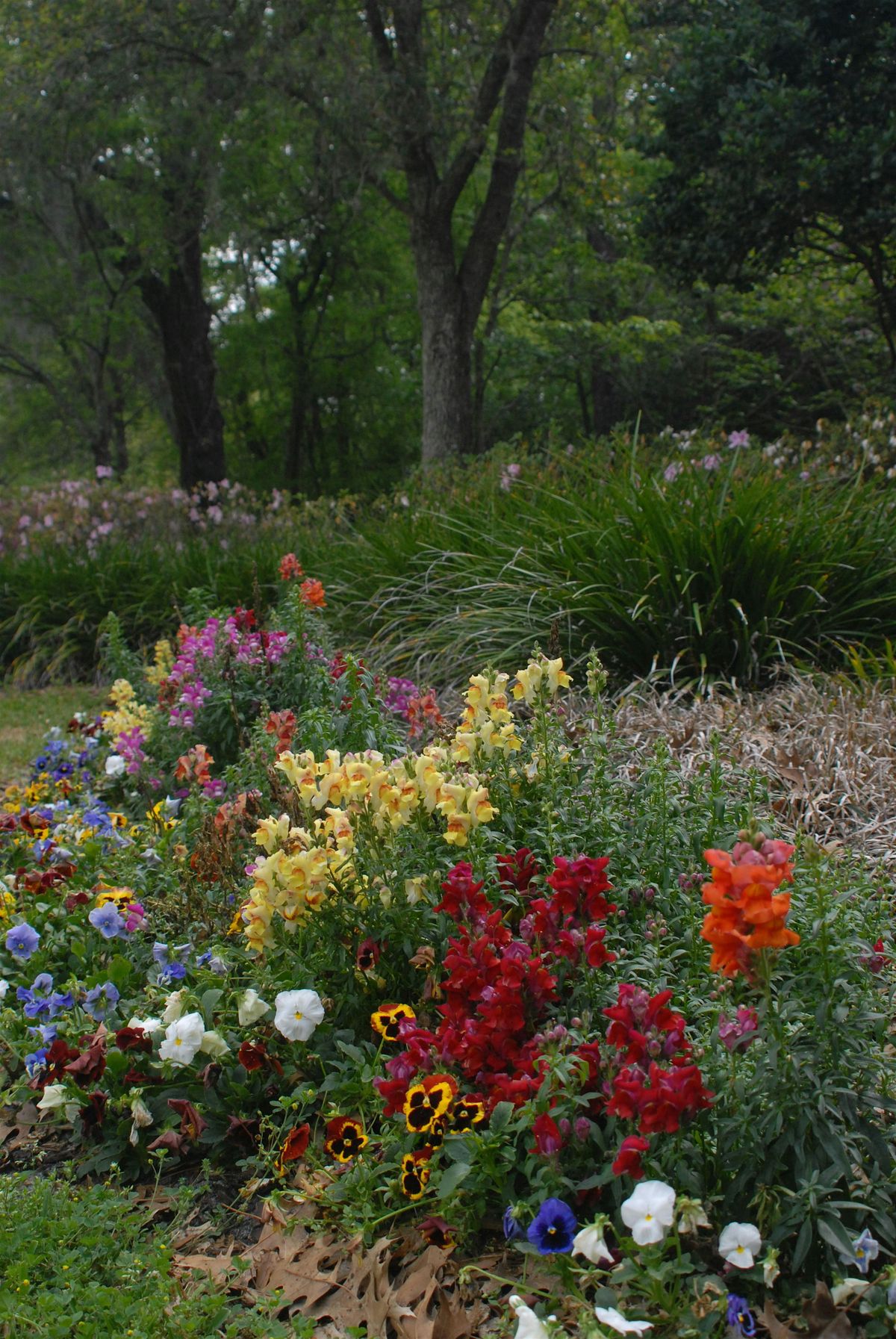 Flowers vs. Foliage in Florida-Friendly Landscaping @ Estero Rec Center