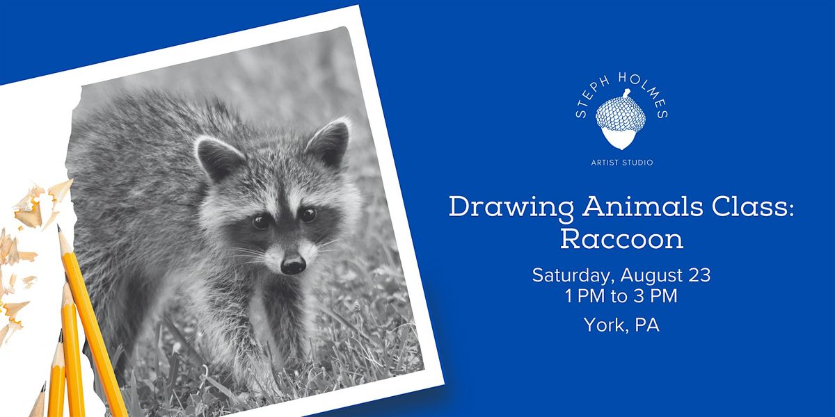 Drawing Animals Class: Raccoon