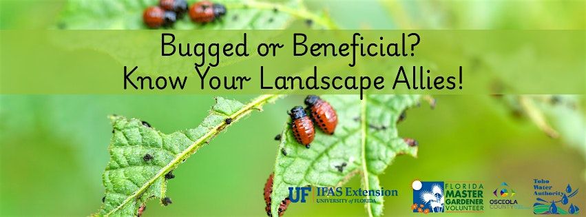 Bugged or Beneficial? Know Your Landscape Allies!