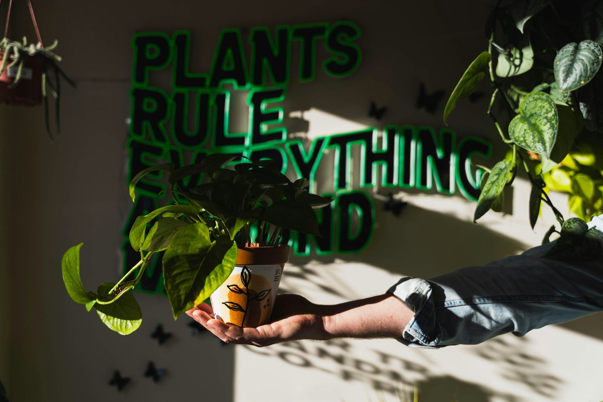 Terracotta Pot Painting w\/ Denver Plant Club (12\/14\/25)