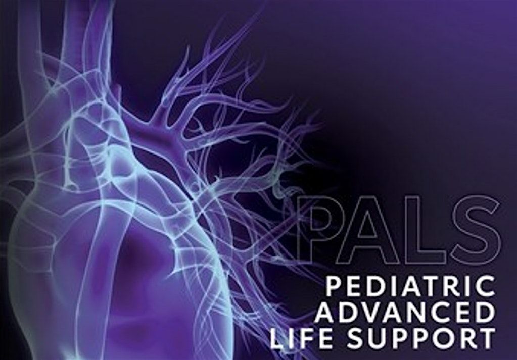Pediatric Advanced Life Support (PALS) Renewal + BLS Renewal- JUN 15