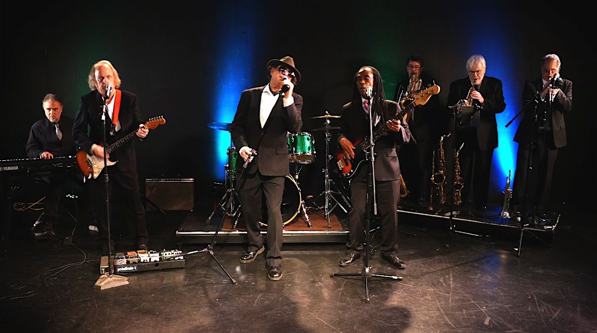 Wild Night- A World Class Van Morrison Tribute Band
