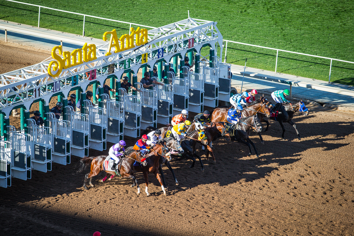 Live Racing at Santa Anita Park at Santa Anita Park
