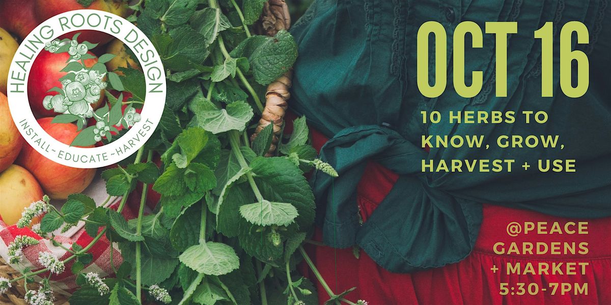 10 Herbs to Know, Grow, Harvest + Use