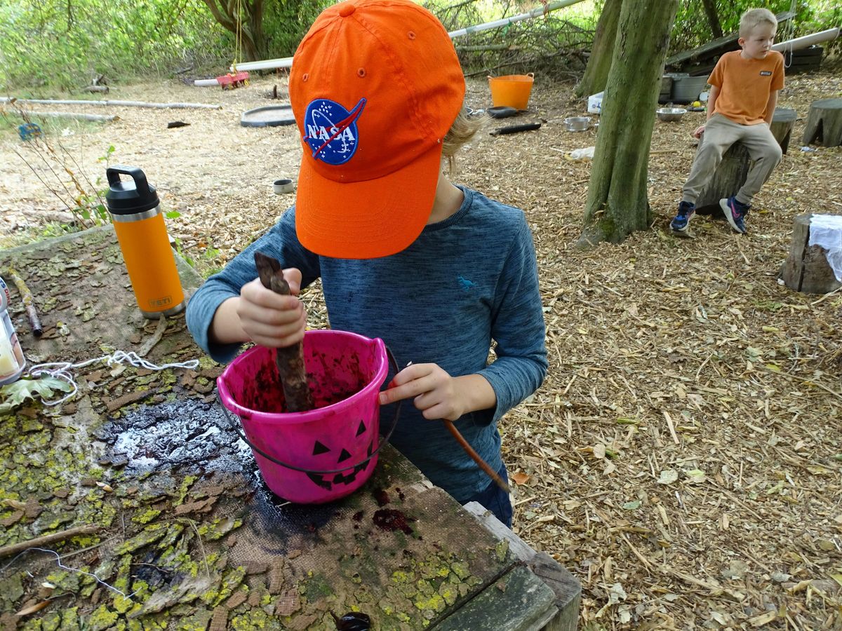Belfairs Woodland Wizards and Forest Fairies