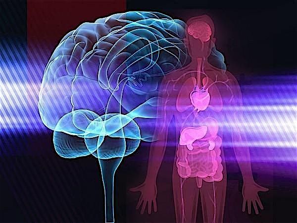 Mental Health Matters: A Mind-Body Community Event